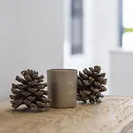 Exlusive With Garden In Higueron Фуенхірола