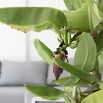 Exlusive With Garden In Higueron Фуенхірола